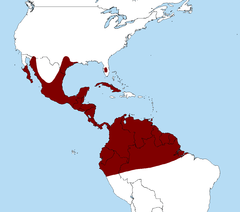 Distribución de Caracara cheriway