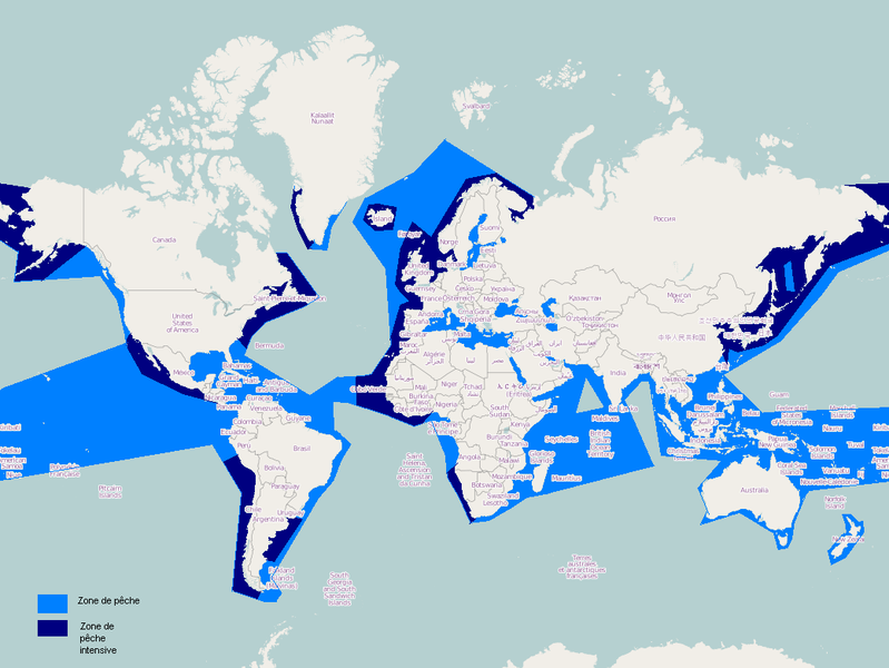 File Carte Des Zonez De Peche Mondial Png Wikimedia Commons