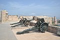 Castell de Sant Carles, Cannons