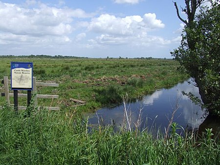 Tập_tin:Castle_marshes_nature_reserve.jpg