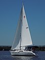 Catalina 309