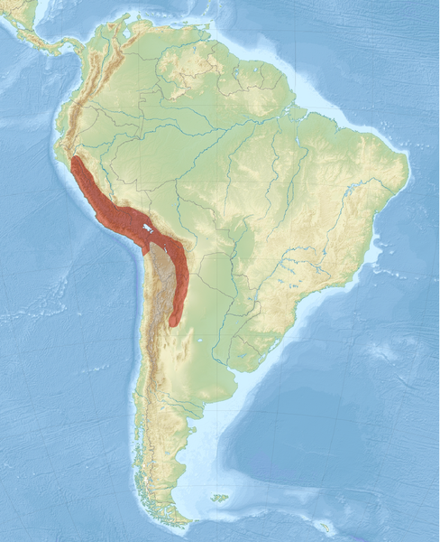 File:Cavia tschudii distribution map.png