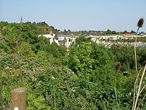 Wąwóz Chafford - geograph.org.uk - 39653.jpg