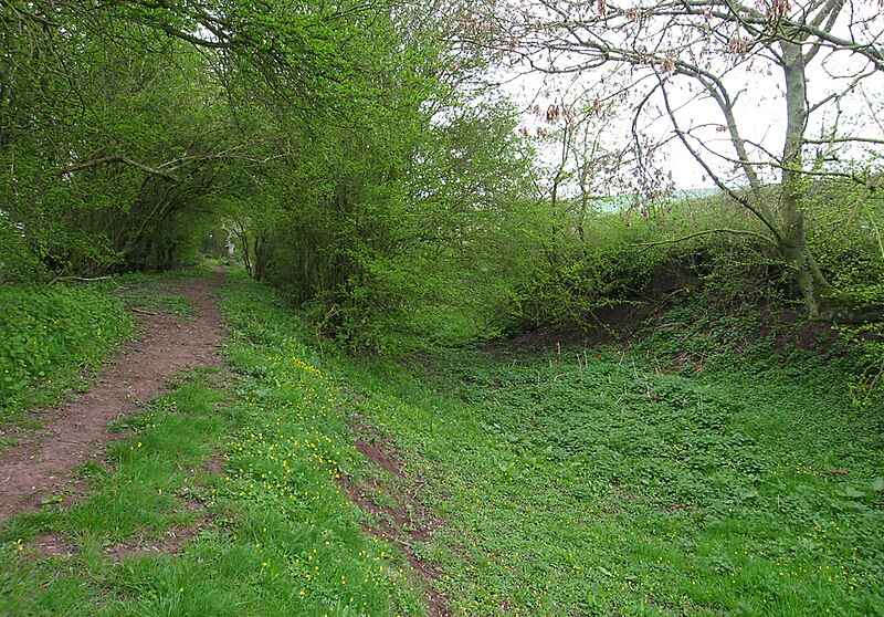 File:CharnwoodForestCanal 02.jpg