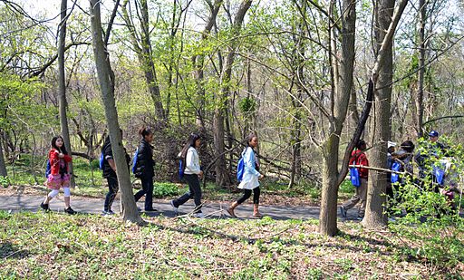 Children walking forest