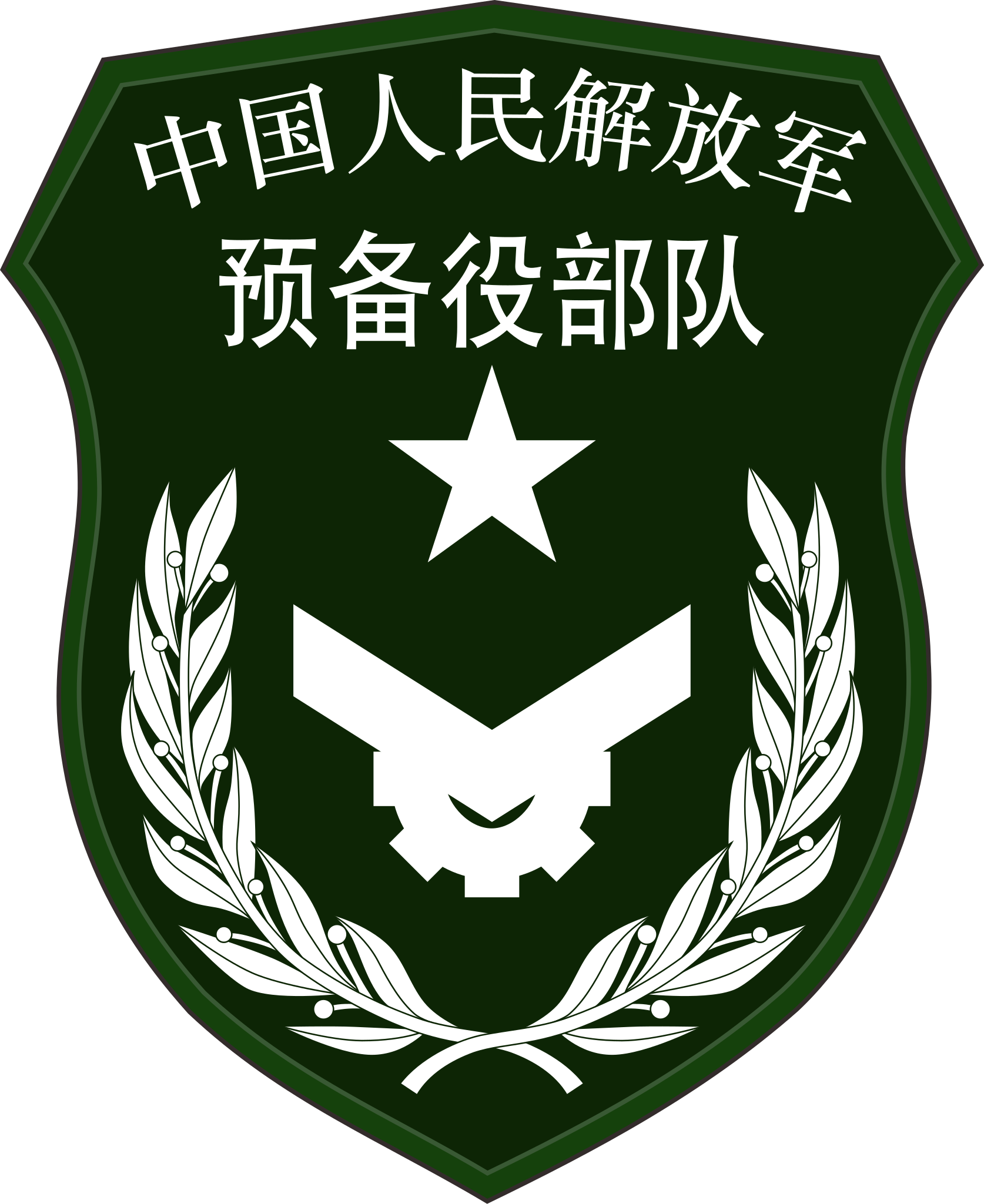 File:Chinese People's Liberation Army Reserve shoulder sleeve 