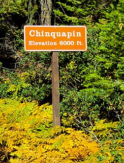 Chinquapin, California Former settlement in California, United States