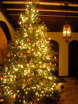 American Christmas Tree