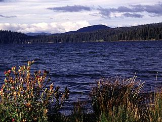 <span class="mw-page-title-main">Cinnamon Butte</span> Volcanic geological formation in Oregon