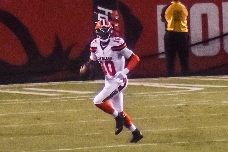 File:Cleveland Browns vs. Atlanta Falcons (29135903145).jpg