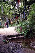 Clouties tied to a tree near Madron Well Clouties near madron well.jpg