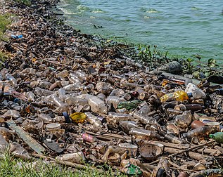 Pollution par déchets plastiques sur les rives du lac Maracaibo (État de Zulia, Venezuela). (définition réelle 5 015 × 3 981)