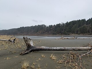 <span class="mw-page-title-main">Copalis River</span> River in Washington, United States