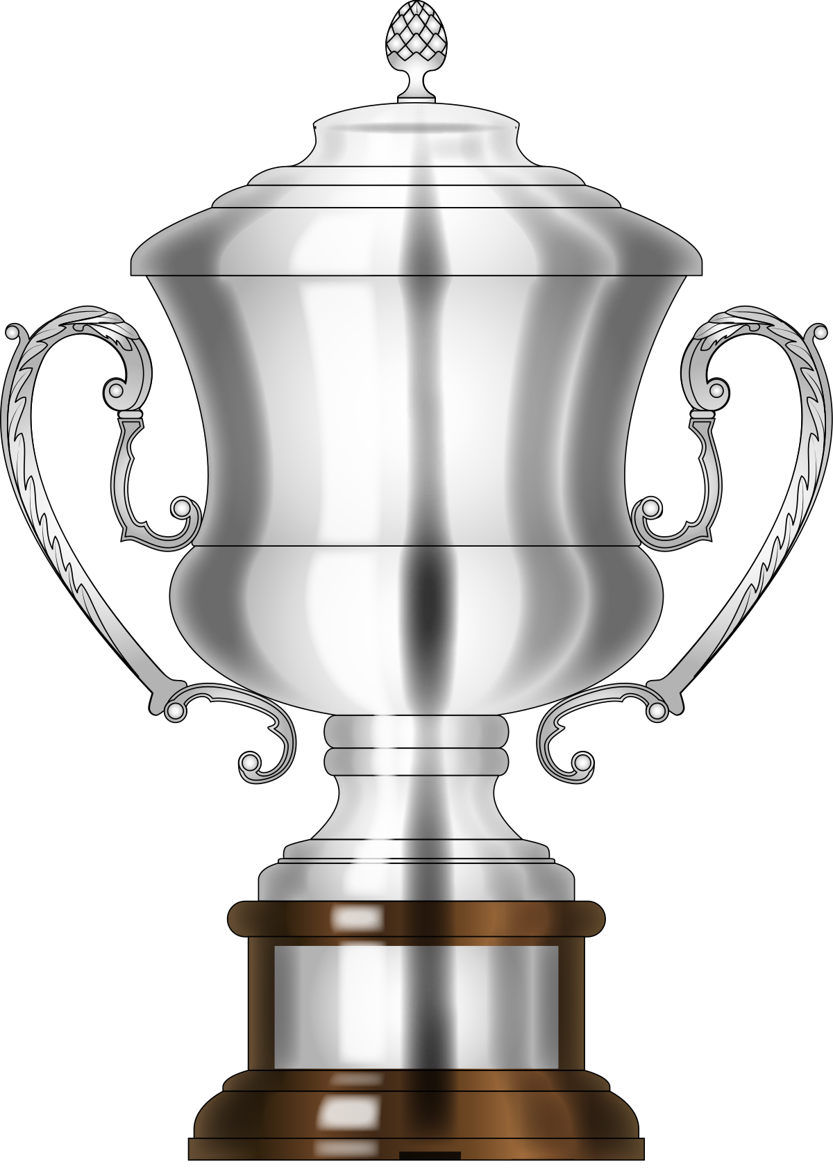 Coppa Italia – Wikipédia, a enciclopédia livre