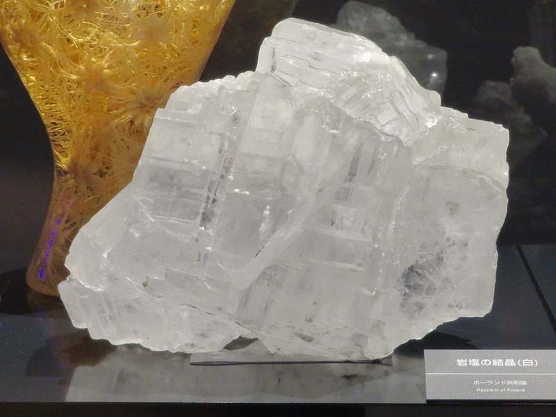 File:Crystal of Rock Salt in Expo 2005 Museum - 2.jpg