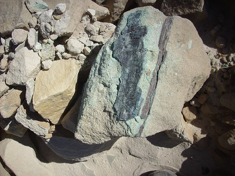 File:Cu petrified wood.jpg