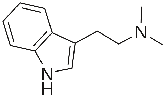 640px DMT.svg DMT - oder N, N-Dimethyltryptamin in der medizinischen Fachsprache - ist neben Zauberpilze eine halluzinogene Tryptamin-Drogen Verbindung. Die mit dem Namen Dimitri bezeichnete Droge hat ähnliche Wirkungen wie Psychedelika, z. B. LSD und Magic Mushrooms.