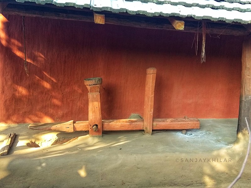 File:DhiNki (ଢ଼ିଙ୍କି).jpg