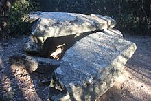 Fotografia del dolmen de Castellruf, en una clariana del bosc