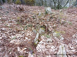 Image illustrative de l’article Dolmen de la Chambrette