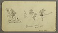 Drawing, Pine studies, 1878 (CH 18203349-2).jpg