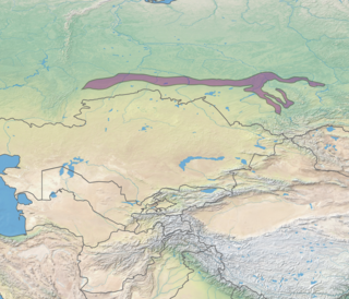 <span class="mw-page-title-main">West Siberian broadleaf and mixed forests</span>