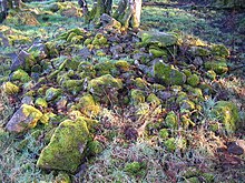 A typical clearance cairn from Eglinton Country Park in Scotland Eglinton clearance cairn.JPG