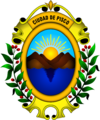 Escudo de Pisco