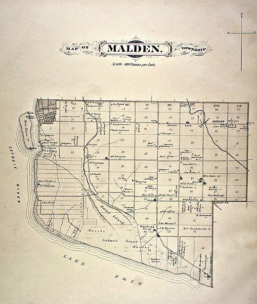 File:Ess-m-maldenMalden Township in 1881, Essex County, Ontario.jpg
