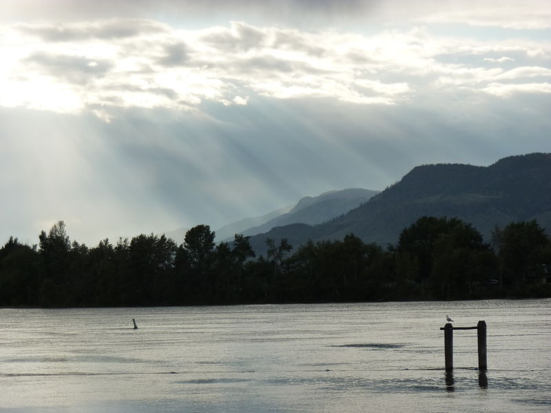 File:Evening light over the Thompson River (6004522575).jpg