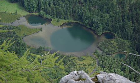 Falkensee Inzell