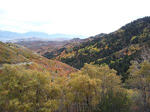 Butterfield Canyon (Utah)