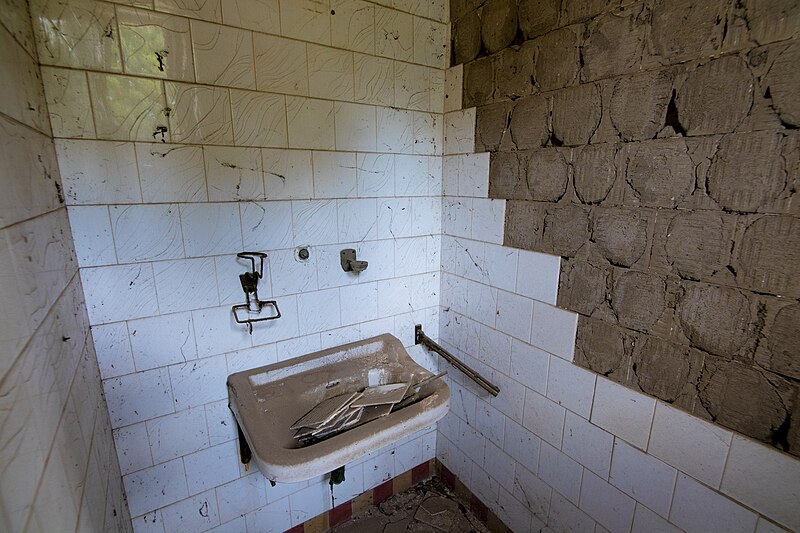 File:Fallen-off tiles in the wash basin (48652551723).jpg