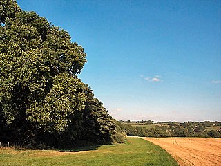 <span class="mw-page-title-main">Farnley, North Yorkshire</span> Village and civil parish in North Yorkshire, England