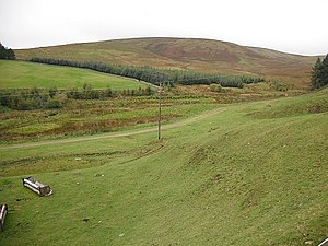 Field, Baddinsgill - geograph.org.uk - 1509386.jpg