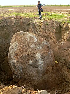 Colossus of Ostermunzel glacial erratic stone found in a farmers field east of Ostermunzel in Lower Saxony, Germany