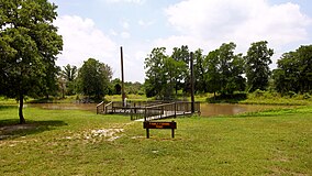 Fishing Pond Lake Somerville SP Texas 2023.jpg