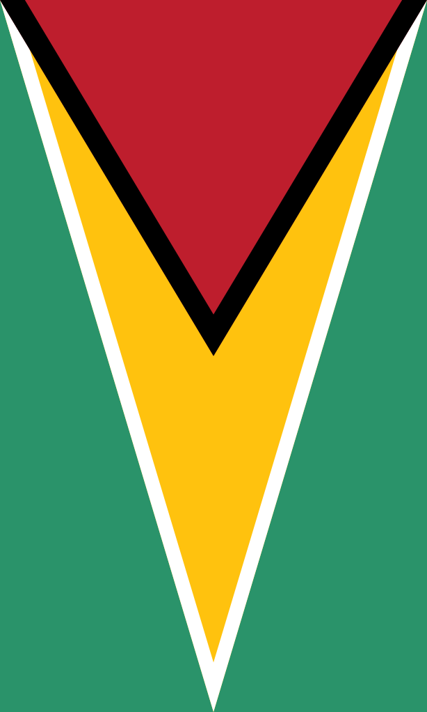 File:Flag of Guyana (colouring page).svg - Wikimedia Commons