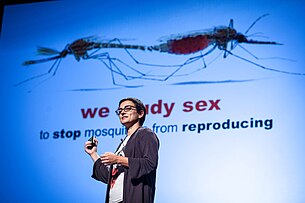 Catteruccia as a 2012 PopTech Science fellow giving a talk on the reproductive biology of Anopheles mosquitoes Flaminia Catteruccia - PopTech 2012 - Camden Maine USA (8106573405).jpg