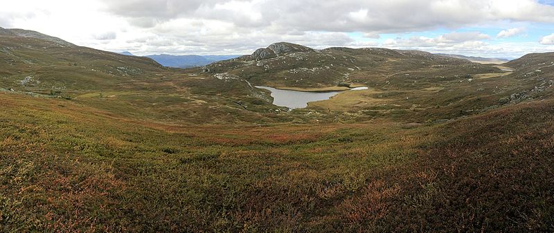 File:Flesberg Blefjell 1129m raustbuaa IMG 1486.jpg