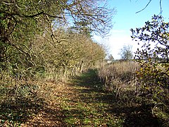 Footpath Near Shenstone Court - geograph.org.uk - 2729997.jpg