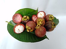 Photograph of several mangosteen fruits. One has been partially peeled revealing white flesh divided into five sections.