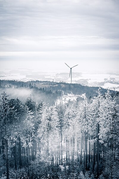 File:Frosty Austrian forest (40449145884).jpg