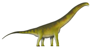 <i>Gandititan</i> Genus of titanosaurian dinosaurs