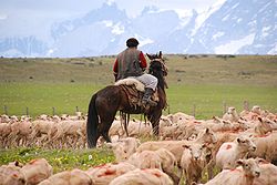 Gaucho: Nacimiento, Etimología, Origen de la expresión gaucho