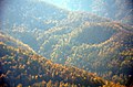 Gilan - Deylaman Forest - panoramio.jpg
