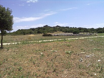 Come arrivare a Parco Archeologico Monte Sannace con i mezzi pubblici - Informazioni sul luogo