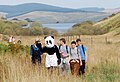 "Glen_Quay_-_geograph.org.uk_-_4018190.jpg" by User:GeographBot