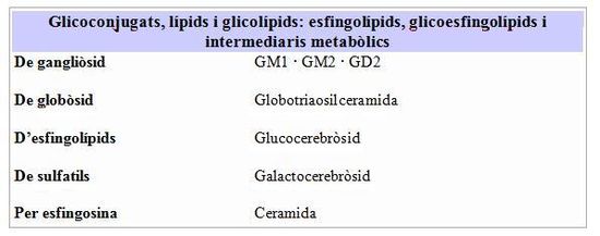 Glicoconjugats