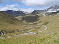 weiteres Foto mit mehr Bergen und weniger Asphalt in den alpinen Bergwiesen